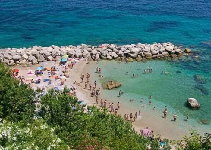 Aquarium Family * קאפרי